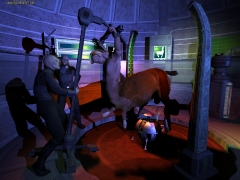 <b>ZZ Top:  </b><i>He's Got Le-eg's...Will He Know How To Use Them?<i>